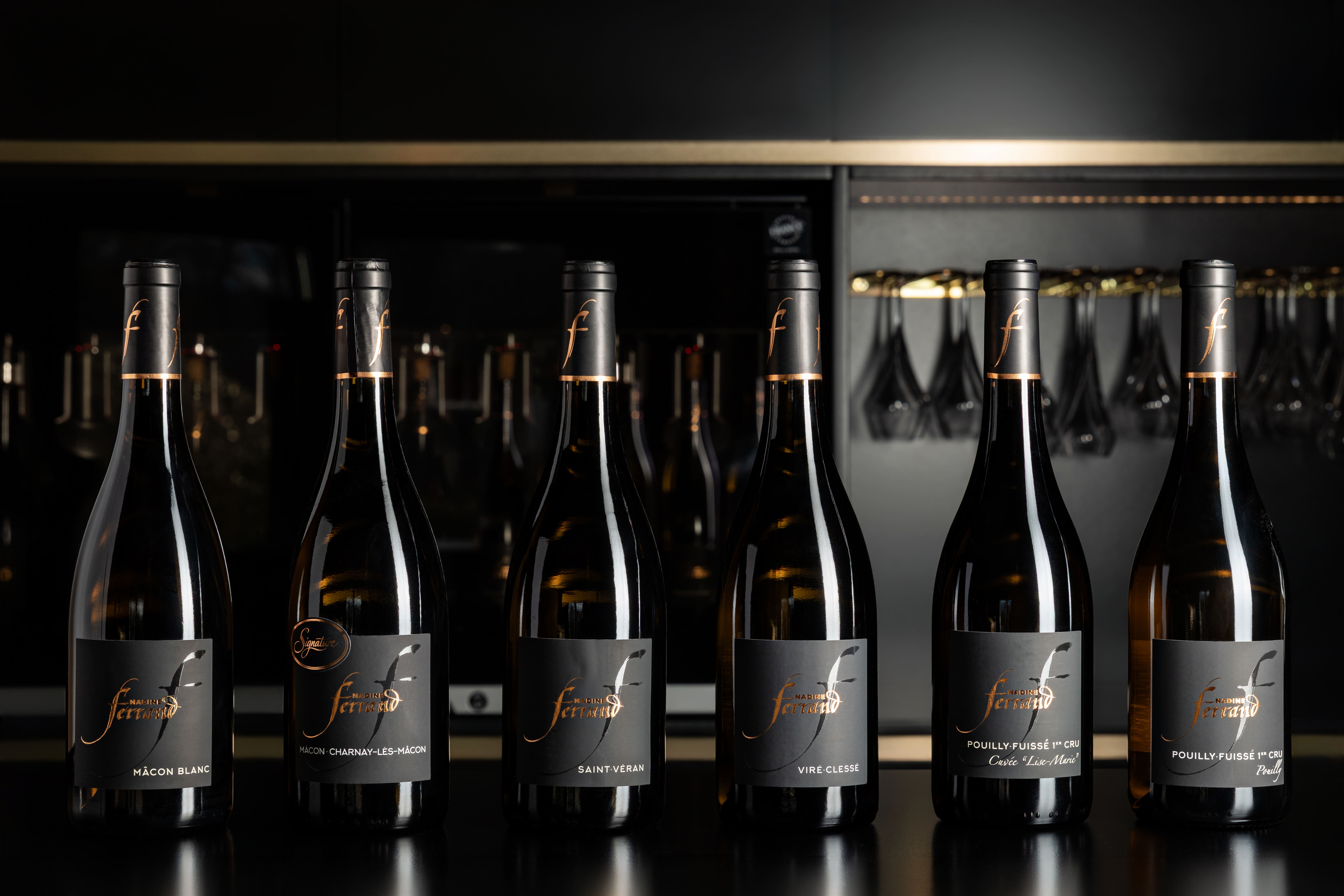 COFFRET DECOUVERTE CARTON